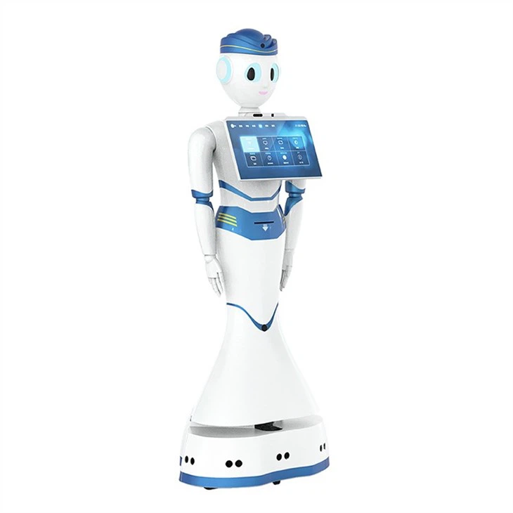 Language Interaction Service Robot